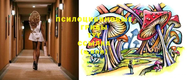 мдпв Абдулино