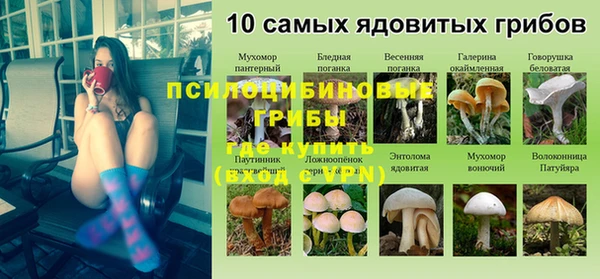 экстази Абаза
